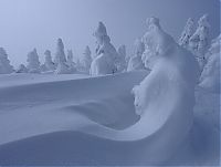 TopRq.com search results: snow monsters, juhyou, frost-covered trees