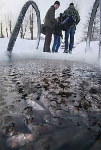 Fauna & Flora: Fish tries to get oxygen, St. Petersburg, Russia