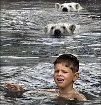 Fauna & Flora: Polar bear habitat in Cochcrane, Ontario, Canada