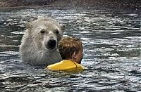 Fauna & Flora: Polar bear habitat in Cochcrane, Ontario, Canada