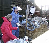 TopRq.com search results: animals at the dentist