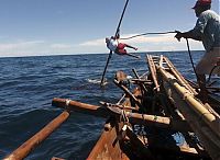 Fauna & Flora: Whale hunting, Indonesia