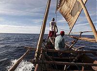 Fauna & Flora: Whale hunting, Indonesia