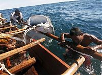 Fauna & Flora: Whale hunting, Indonesia