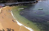 Fauna & Flora: Swarming of fish, coast of Acapulco, Mexico