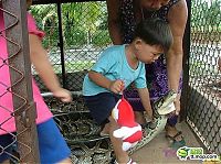 Fauna & Flora: child playing with a large snake