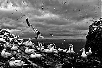 TopRq.com search results: Nature and wild animals by Gorazd Golob