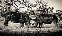 TopRq.com search results: Nature and wild animals by Gorazd Golob