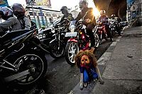 Fauna & Flora: Monkey performs on the street, Indonesia