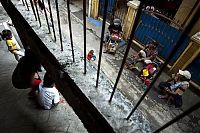 Fauna & Flora: Monkey performs on the street, Indonesia