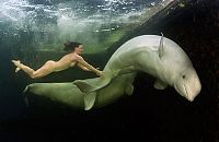 Fauna & Flora: Underwater world with Natalia Avseenko, The White Sea, Russia