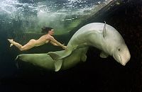 TopRq.com search results: Underwater world with Natalia Avseenko, The White Sea, Russia