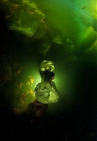 TopRq.com search results: Underwater world with Natalia Avseenko, The White Sea, Russia