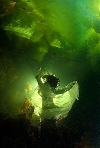 Fauna & Flora: Underwater world with Natalia Avseenko, The White Sea, Russia