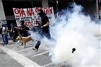 TopRq.com search results: Loukanikos, the riot dog