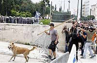 Fauna & Flora: Loukanikos, the riot dog