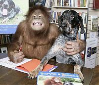 TopRq.com search results: Roscoe the dog and Suriya the orangutan friends