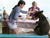 TopRq.com search results: bear cubs visit