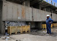 Fauna & Flora: Jellyfish clog water supply, coal-fired power station Orot Rabin, Hadera, Israel