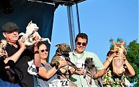 Fauna & Flora: World's Ugliest Dog Contest 2011, Petaluma, California, United States