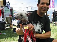 Fauna & Flora: World's Ugliest Dog Contest 2011, Petaluma, California, United States