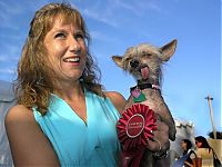 Fauna & Flora: World's Ugliest Dog Contest 2011, Petaluma, California, United States