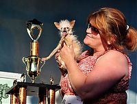 Fauna & Flora: World's Ugliest Dog Contest 2011, Petaluma, California, United States