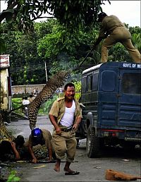 Fauna & Flora: Leopard attacked people, West Bengal, India
