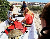 TopRq.com search results: Saving a turtle, Juno Beach, Jupiter, Florida