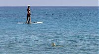 Fauna & Flora: Saving a turtle, Juno Beach, Jupiter, Florida