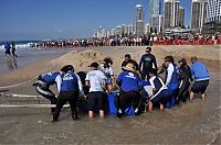 TopRq.com search results: saving a small humpback whale