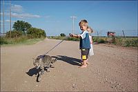 Fauna & Flora: savannah cat