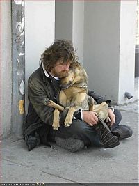 TopRq.com search results: dog, a man's best friend