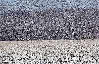 TopRq.com search results: Million of geese, Missouri, United States