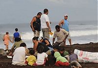 TopRq.com search results: Harvesting Sea Turtle eggs, Costa Rica