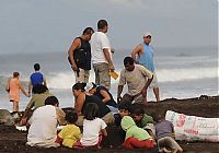 Fauna & Flora: Harvesting Sea Turtle eggs, Costa Rica