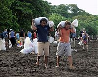 Fauna & Flora: Harvesting Sea Turtle eggs, Costa Rica