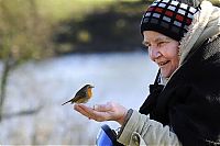 Fauna & Flora: British Wildlife Photography Awards 2011