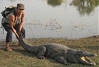 Fauna & Flora: Sacred Crocodile ponds, Paga, Bolgatanga, Ghana