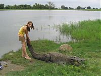 Fauna & Flora: Sacred Crocodile ponds, Paga, Bolgatanga, Ghana