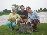 Fauna & Flora: Sacred Crocodile ponds, Paga, Bolgatanga, Ghana