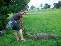 Fauna & Flora: Sacred Crocodile ponds, Paga, Bolgatanga, Ghana