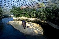 Fauna & Flora: Baby hippo born, Berlin ZOO, Germany