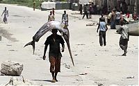 Fauna & Flora: Fishermen in Somalia