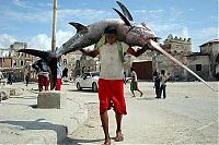 Fauna & Flora: Fishermen in Somalia