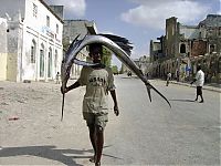 Fauna & Flora: Fishermen in Somalia