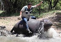 TopRq.com search results: Marius Els killed by his pet hippo Humphrey, South Africa