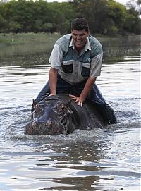 TopRq.com search results: Marius Els killed by his pet hippo Humphrey, South Africa