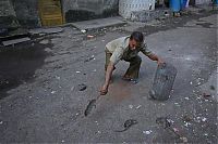 Fauna & Flora: Rat-catching, Mumbai, India