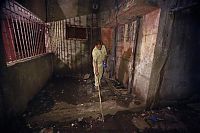 TopRq.com search results: Rat-catching, Mumbai, India